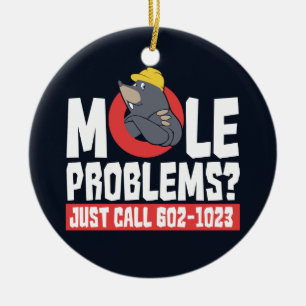 Décoration En Céramique Drôle Chimie Formule Mole Problème Science Gag