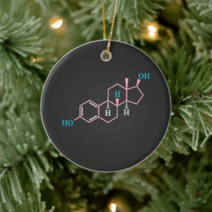 Décoration En Céramique Drôle transgenre Trans droits de fierté LGBT Estro