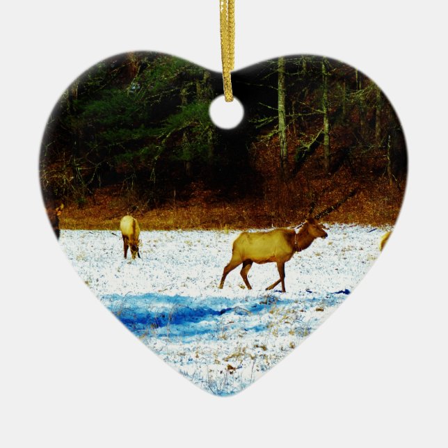 DÉCORATION EN CÉRAMIQUE DSC00131.JPG (Devant)