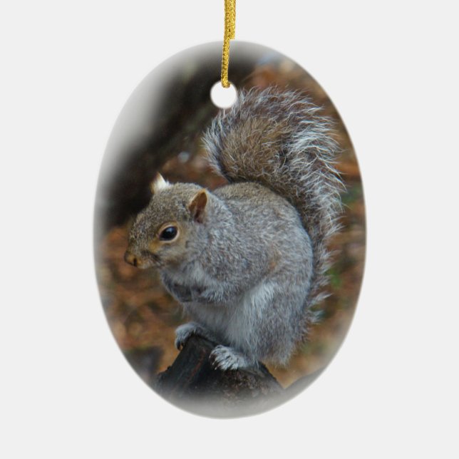 Décoration En Céramique Écureuil gris de l'Est - Sciurus carolinensis (Devant)