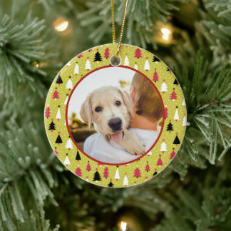 Décoration En Céramique Editable Christmas Pet Photo Decoration