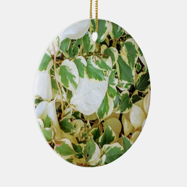 Décoration En Céramique Elégant Jardin rustique (Droite)