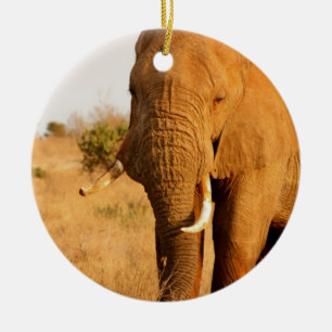 Décoration En Céramique Éléphants