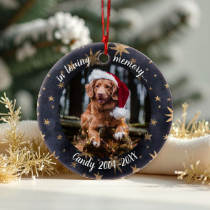 Décoration En Céramique En Souvenir Affectueux Photo de Chien Mémorial d
