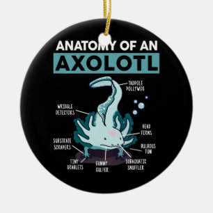 Décoration En Céramique Enfants Anatomie D'Un Axolotl Mexicain Poisson Mar