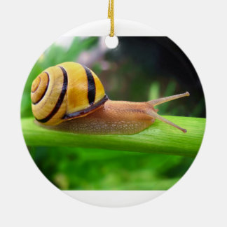 Décoration En Céramique Escargot labié Brown de verger de Cepaea Nemoralis