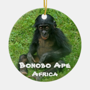 Décoration En Céramique Espèces en voie de disparition série Bonobo Ape