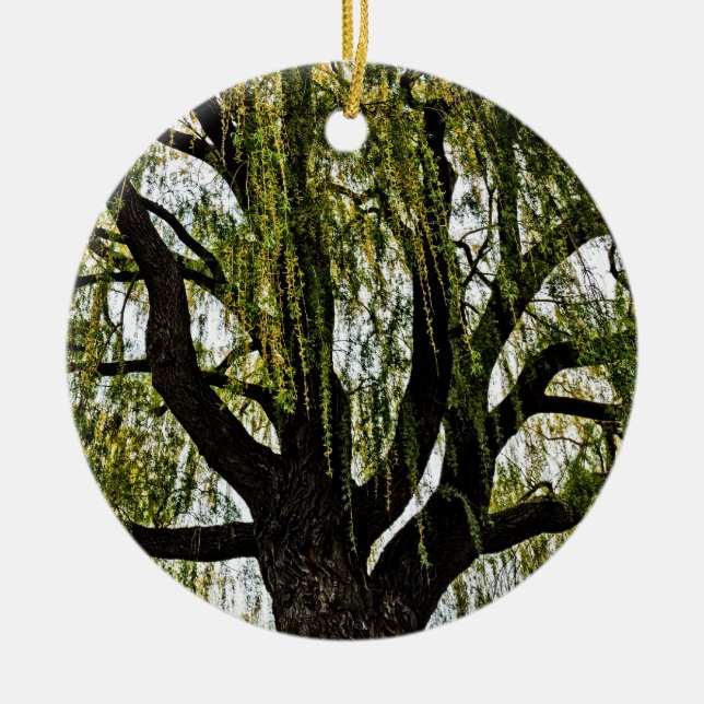 Décoration En Céramique espoir du printemps muet (Devant)