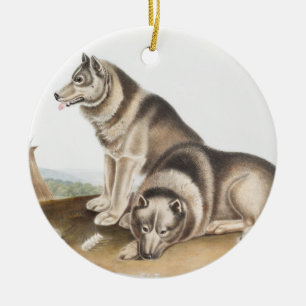 Décoration En Céramique Esquimaux Chien (Canis familiaris) Illustration