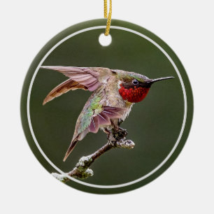 Décoration En Céramique Étiquettes de colibri