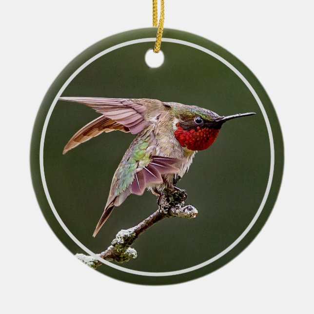 Décoration En Céramique Étiquettes de colibri (Devant)