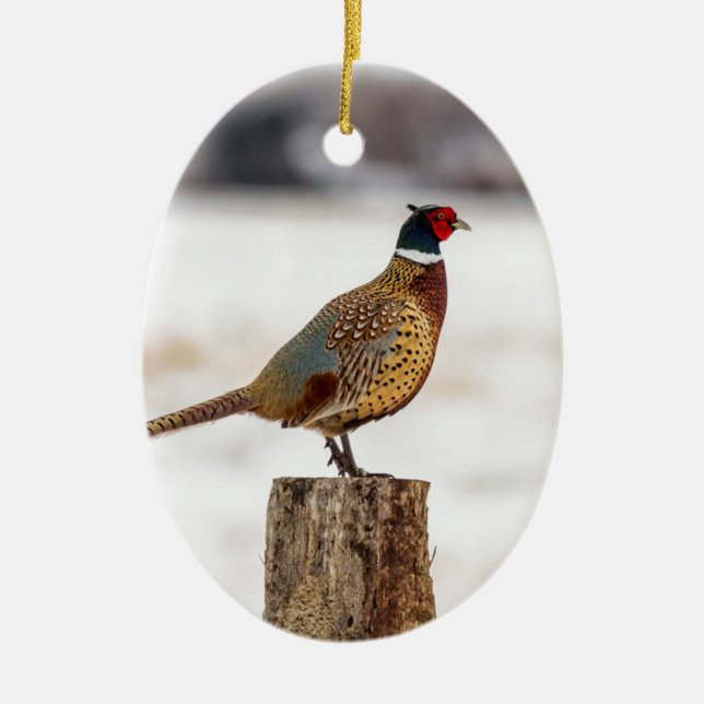 Décoration En Céramique Faisan (Devant)