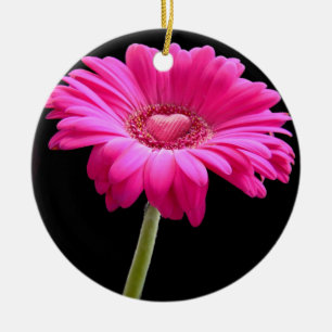 Décoration En Céramique Faisée de Gerbera rose chaud