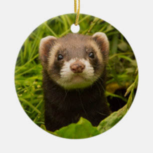 Décoration En Céramique Ferret pour animaux dans l'herbe