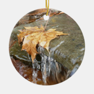 Décoration En Céramique Feuilles d'automne dans la cascade II Photographie