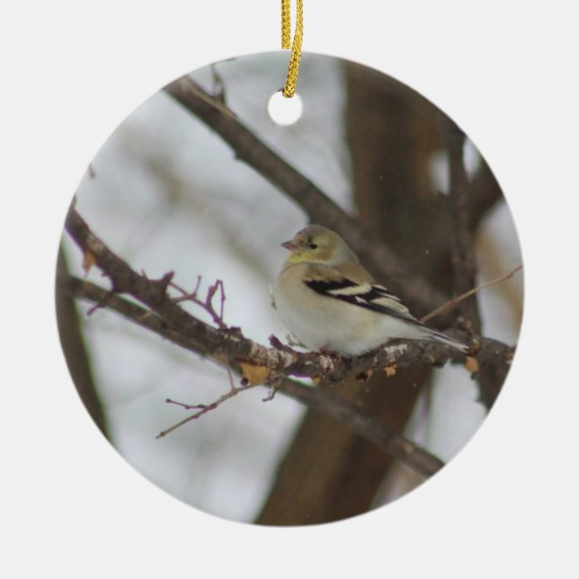 Décoration En Céramique Finch Ornament (Devant)