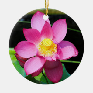 Décoration En Céramique Fleur de Lotus rose chaud