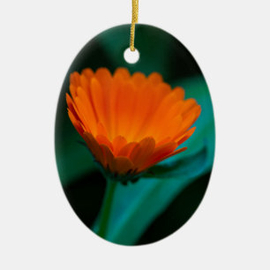 Décoration En Céramique Fleur de marguerite orange