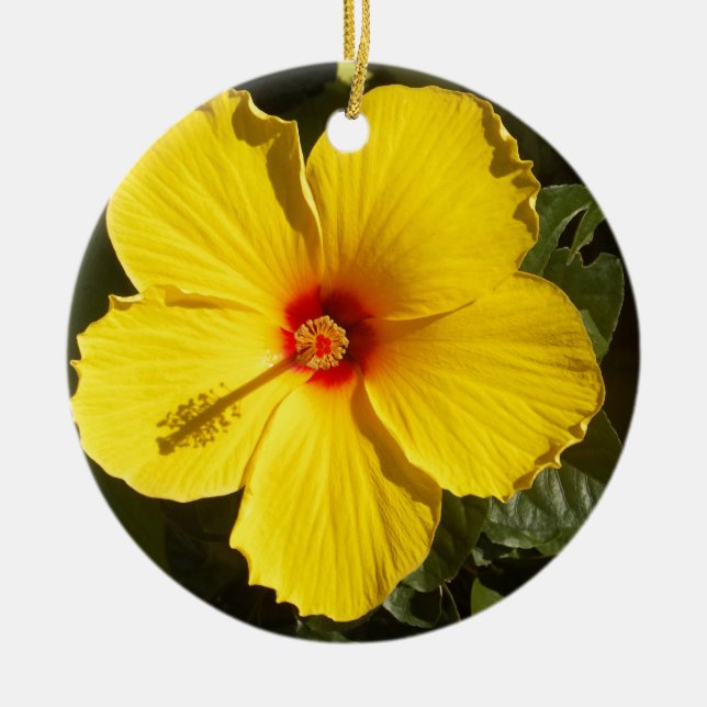 Décoration En Céramique Fleur d'Hibiscus jaune (Devant)