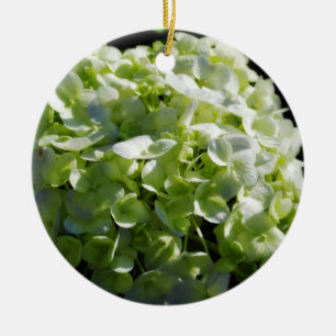 Décoration En Céramique Fleurs vertes d'hortensias