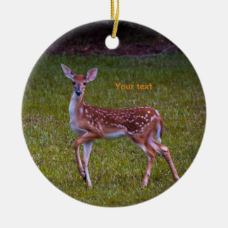 Décoration En Céramique Florida Key deer Photos de faon juvénile