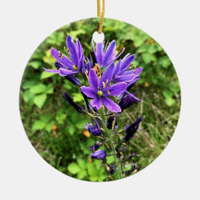 Décoration En Céramique Flowers on the Trail, Oregon (Devant)