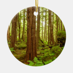 Décoration En Céramique Forêt pluviale tempérée d'Alaska
