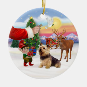 Décoration En Céramique Friandise pour un Terrier de Norwich