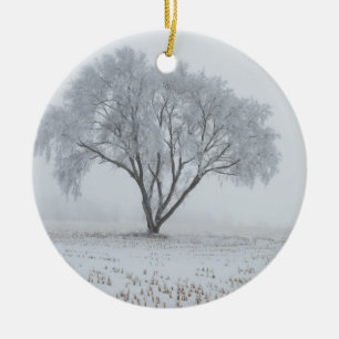Décoration En Céramique Frost sur un arbre solitaire