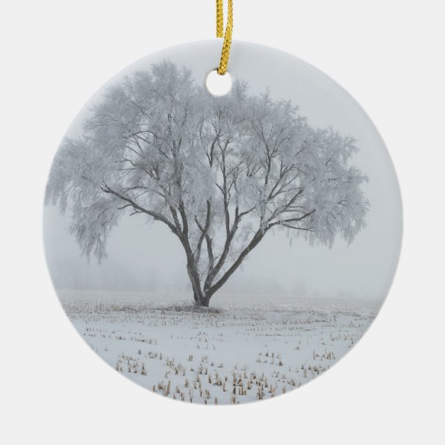 Décoration En Céramique Frost sur un arbre solitaire (Devant)