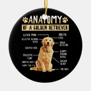 Décoration En Céramique Funny Anatomy Golden Retriever Amoureux des chiens