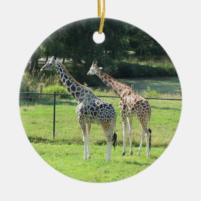 Décoration En Céramique Girafes (Devant)