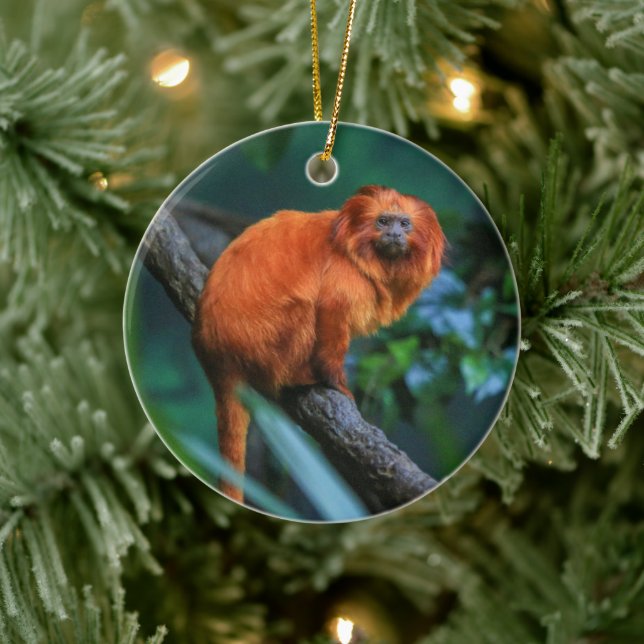Décoration En Céramique Golden Lion Tamarin (Arbre)