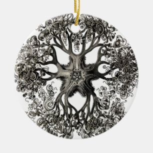 Décoration En Céramique Gorgonocephalidae d'Ernst Haeckel