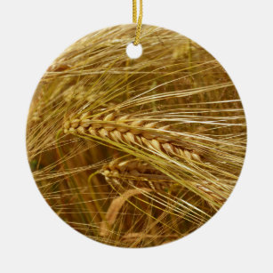 Décoration En Céramique Grains de blé dans le champ. C’est l’heure de la r