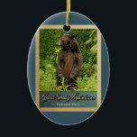 Décoration En Céramique Great Smoky Mountains Parc national Ours<br><div class="desc">Vintage ornement de voyage Great Smoky Mountains National Park image avec un ours noir debout sur ses pattes arrières,  regardant dans la forêt verte.</div>