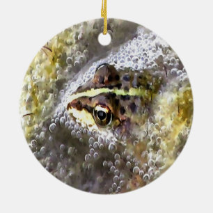 Décoration En Céramique Grenouille plongée dans des bulles d'eau et des mo