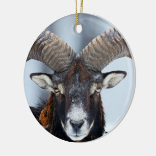 Décoration En Céramique Gros mouton de bélier à corne - Mouflon