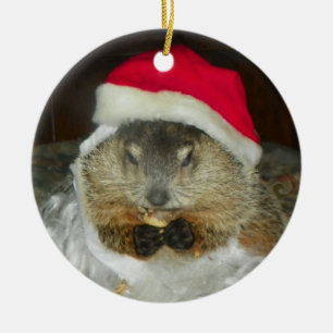Décoration En Céramique Groundhog/ornement Clara de marmotte d'Amérique