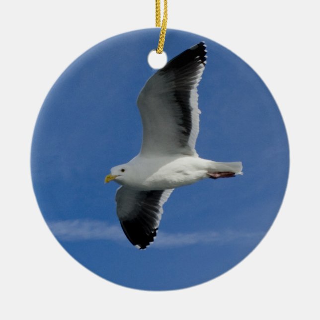Décoration En Céramique Gull de San Francisco (Devant)