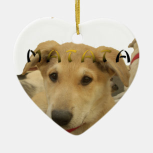 Décoration En Céramique Hakuna Matata Je sais ce que vous pensez pinctur