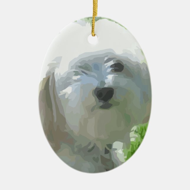 Décoration En Céramique Havanese (Devant)