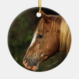 Décoration En Céramique Headshot 1 de cheval d'Appaloosa