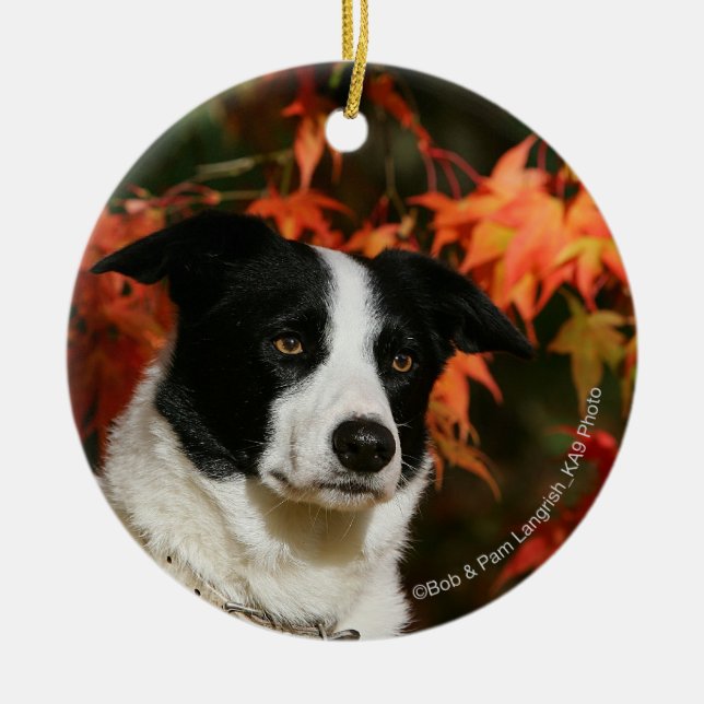 Décoration En Céramique Headshot d'automne de border collie (Devant)