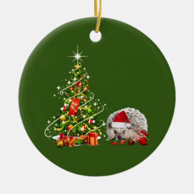 Décoration En Céramique Hedgehog With Hat LIGHTS Christmas (Devant)