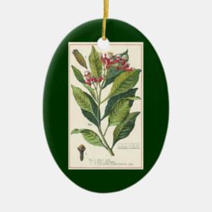 Décoration En Céramique Herbes et épices alimentaires vintage, plante de c