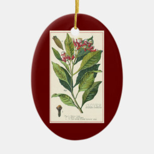 Décoration En Céramique Herbes et épices alimentaires vintage, plante de c