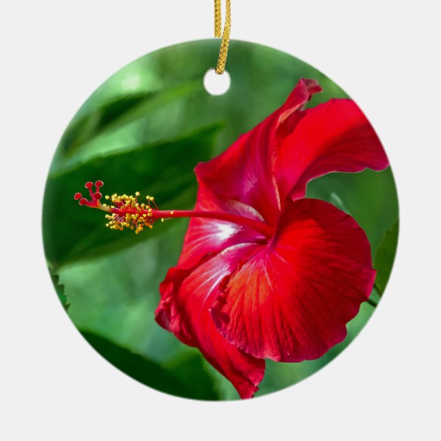 Décoration En Céramique Hibiscus Blossom (Devant)