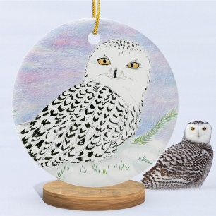 Décoration En Céramique Hibou blanc au crayon de couleur au coucher du sol