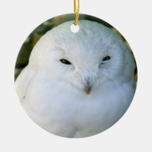 Décoration En Céramique Hibou des neiges